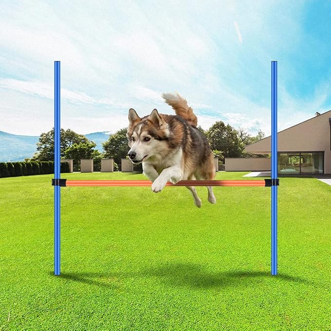 PAWISE Dog Agility Training Equipment, Pet Training Hurdles & Weave Poles Set with Adjustable Jump Bar, Outdoor Dogg Obstacle Course for Backyard Exercise, Portable Dog Agility Kit with Carry Bag