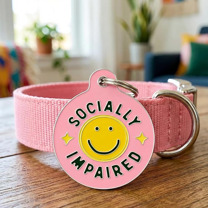 Bad Tags Personalized Dog and Cat ID Tags in 25+ Designs and 2 Sizes - 5 Lines of Custom Engraved Text - Funny Cute Personalized Pet Tags (Socially Impaired - Pink, Large (1.25 inch))