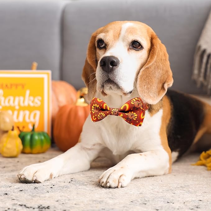 Thanksgiving Dog Collar with Bow Tie Set, Holiday Turkey Pattern Pet Collar for Small Medium Large Dogs, Cute Adjustable Puppy Collar with Quick Release Buckle