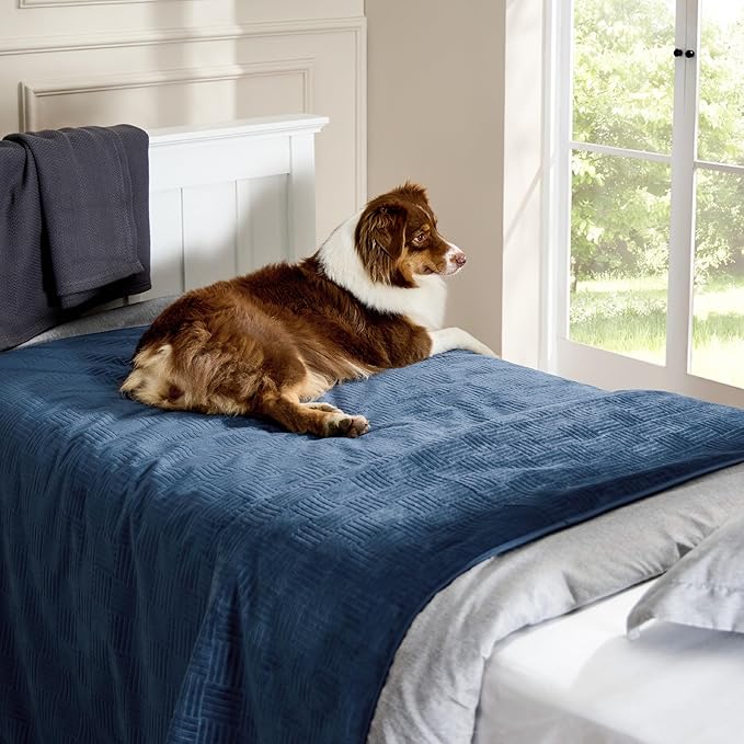 Bedsure Waterproof Couch Cover for Dogs Washable - Waterproof Blanket for Large Dogs Couch Sofa Bed Cozy, Lightweight Furniture Protector for Pet Cat Quick Drying, Navy, 52x82IN