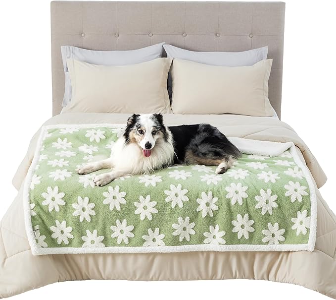 LE SURE Waterproof Dog Blanket for Large Dogs - Washable Double Sided Dog Blankets with Warm Jacquard Shag and Soft Sherpa Fleece, Pet Cat Blanket for Bed Couch Protection, 3D Textured Cloud, Green