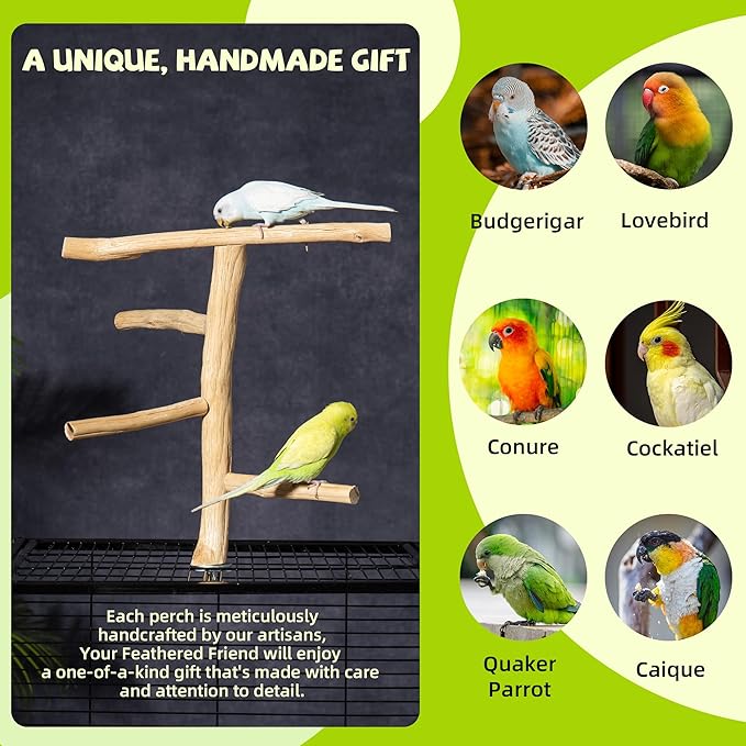 Natural Wood Bird Perch & Play Stand for Parakeets/Cockatiels - Multi-Level Cage Accessory with Training Branch