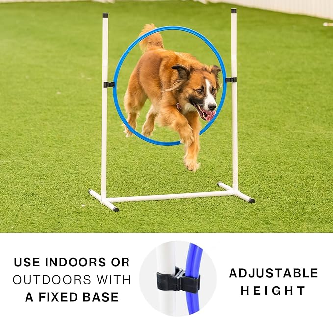 Better Sporting Dogs Complete Starter Agility Set for Dogs | 5 Piece Dog Agility Kit | Agility Jump | Tire Jump | Weave Poles | 10’ Tunnel with Sandbags | Pause Box