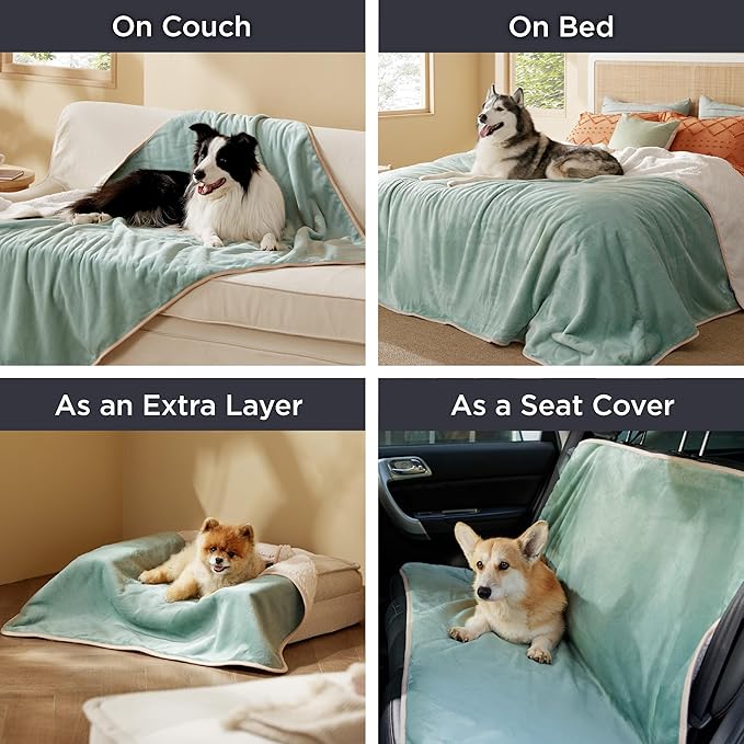 Bedsure Waterproof Dog Blankets for Large Dogs - Large Cat Blanket Washable for Couch Protection, Sherpa Fleece Puppy Blanket, Soft Plush Reversible Throw Furniture Protector, 40"X50", Light Green