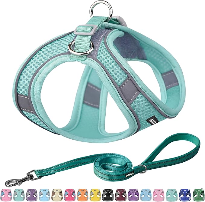 AIITLE Comfortable Dog Harness and Leash Set for Walking - Step in Vest Harness,Reflective Bands, Adjustable No Pull Puppy Essentials, for Small Dogs and House Cats Pure Turquoise XS