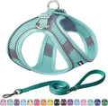 AIITLE Easy Walk Dog Harness and Leash Set - Pet Supply No Pull, Step in Adjustable Dog Harness with Padded Vest, No Choke Over, Easy to Put on Medium Dogs Pure Turquoise L