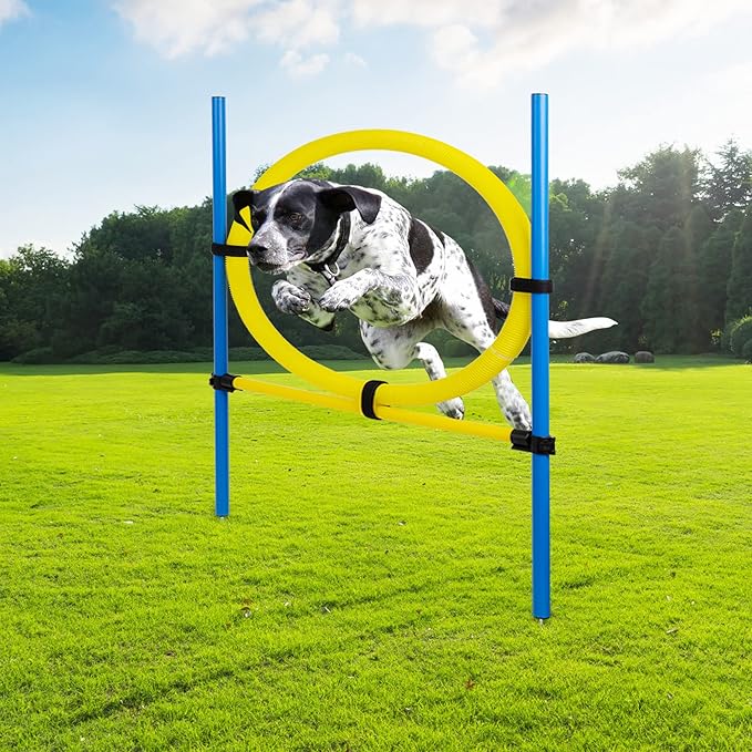 Pet Prime Dog Agility Training Equipment for Dog Obstacle Course Backyard Height Adjustable Jumper Ring Portable Dogs Park Exercise Tool