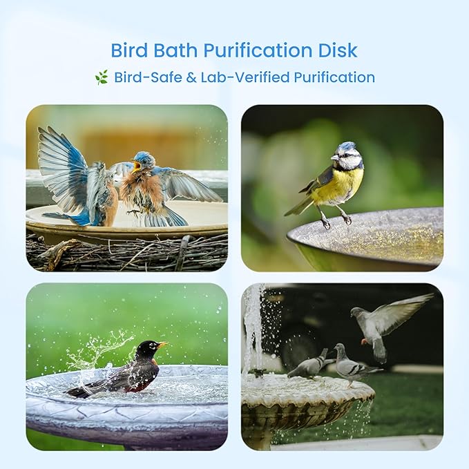 Bird Bath Purification Disk, 99.99% Copper Disc for Bird Bath Copper Disk Cleaner Safe for Outside Birds Fountain Disc Accessories, Fit for Outdoor Birdbath Bowl (3 pcs)