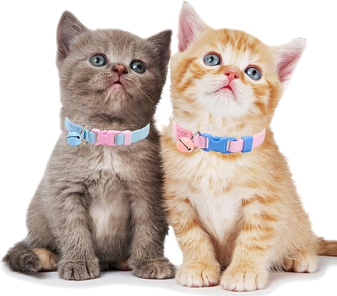 Elastic Cat Collar 2 Pack of Safety Quick Release Cat Collars with Bell Anti-Suffocation Kitten Puppy Collars(Pink+Blue)