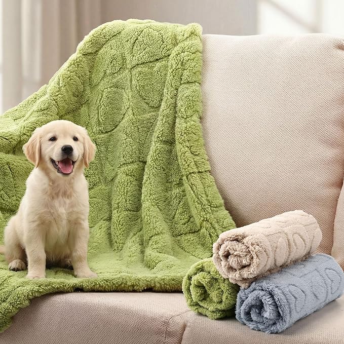 Tegeme 3 Pcs Small Dog Blanket 280 GSM Washable Pet Bed Cover Soft Fluffy Puppy Blanket 3D Textured Heart Checkered Pattern Fleece Soft Cat Plush Pet Throws for Kitten Doggy(Vibrant Colors,20"×30")