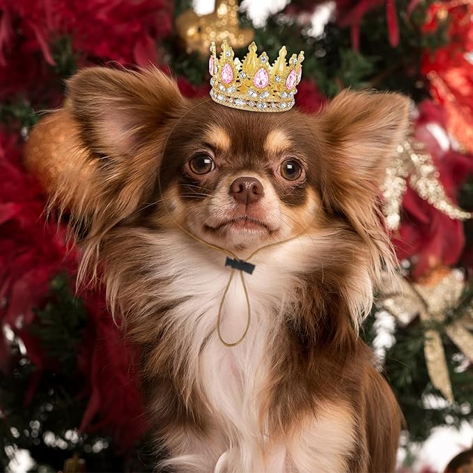 Abbylike Pet Rhinestone King Crown, Queen Crown for Birthday New Year Costume for Small Dog Cat Cosplay Party Accessories Adoption Celebration Wedding Birthday Photos Prop Costume(Pink,Small)