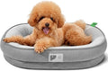 Orthopedic Small Dog Bed,Dog Sofa with Egg Crate Foam Couch Bed with Four-Sided Bolster, Removable Cover & Non-Slip Bottom Grey S