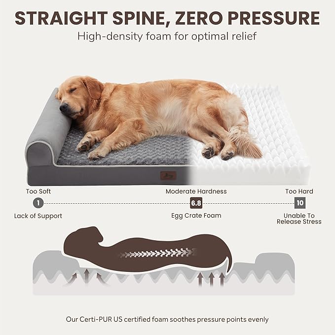 Large Dog Beds Large Sized Dogs 48x35x8 Inch, Orthopedic XXL XL Dog Bed for Medium Size Dogs, Big Waterproof Couch Sofa with Removable Washable Cover for Pet, Dark Grey