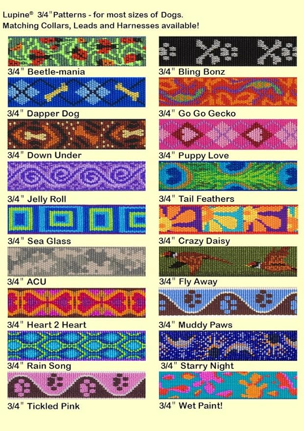 LupinePet Originals 3/4" Sea Glass 13-22" Adjustable Collar for Medium and Larger Dogs