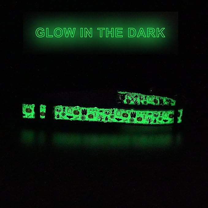 Pawtitas Glow in The Dark Cat Collar with Breakaway Safety Buckle & Bell Adjustable Kitten Collar, Halloween Purple