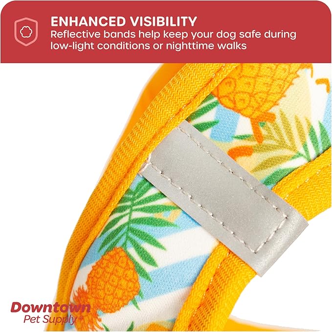 Downtown Pet Supply Step-in Dog Harness – No Pull, Adjustable Padded Mesh with Reflective Trim, Secure Buckle Strap – Comfortable & Breathable Small Dog Harness, XX-Small, Pinneaple