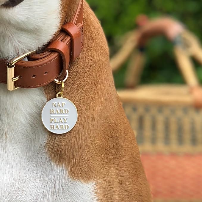 Two Tails Pet Company Personalized 'Nap Hard, Play Hard' Pet ID Tag & Collar Charm - Custom Engraved Dog Tags for Pets - Luxury Brass, Gold Plating