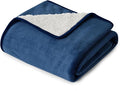 Bedsure Waterproof Dog Blankets for Small Dogs - Small Cat Blanket Washable for Couch Protection, Sherpa Fleece Puppy Blanket, Soft Plush Reversible Throw Furniture Protector, 25"X35", Blue