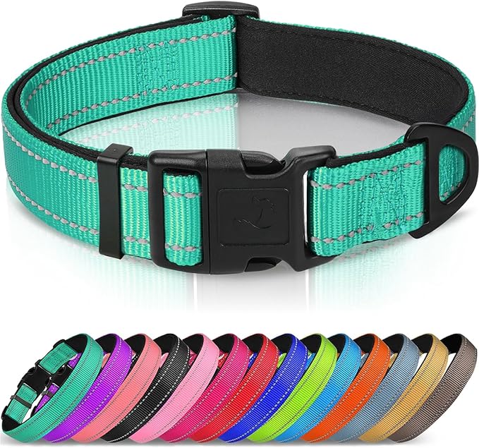Joytale Reflective Dog Collar, Soft Neoprene Padded, Metal D-Ring, Nylon Pet Collar Adjustable for Puppy and Small Dogs, Teal, XS