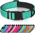Joytale Reflective Dog Collar, Soft Neoprene Padded, Metal D-Ring, Nylon Pet Collar Adjustable for Medium Dogs, Teal, M