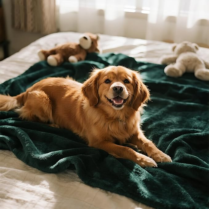 gogobunny Waterproof Bed Blanket, Reversible Sherpa Fleece Throw Blanket for Dog Puppy Cat, Furniture Cover Protects Bed Couch Sofa from Liquid Pee and Pet Fur (Forest Green, 50x60 inches)