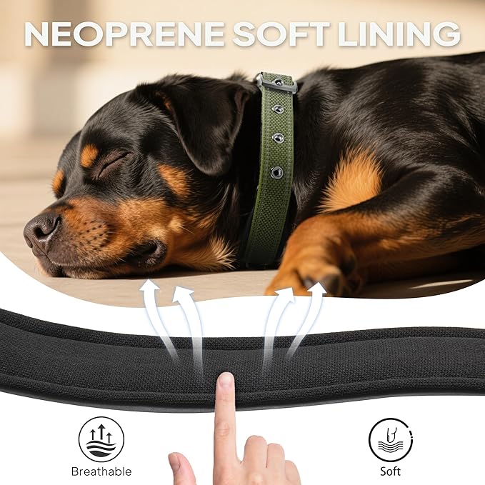 PetiFine Dog Collar for Large Dogs, Neoprene Padded and Adjustable, Reflective Wide Heavy Duty Pet Collars with Durable Metal Belt Buckle for Walking, Green, L