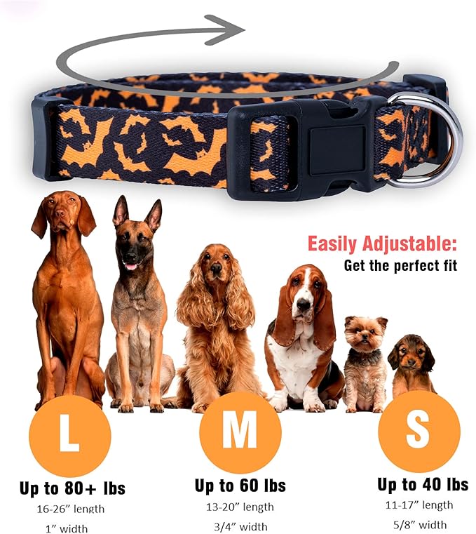 Native Pup Halloween Dog Collar- Spooky Fall Themed Horror Costume Collars- Skull, Pumpkin, Ghost, Bat, Witch, Candy Corn, Spider- Adjustable for Small, Medium, Large Breeds (Medium, Orange Bats)