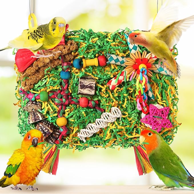 Bird Toys Parakeet Toys,Large-Sized Parrot Foraging & Shredding Cage Hanging Toys with Seagrass Mat for Budgies,Cockatiels,Lovebirds,Conures Small & Medium Parrots