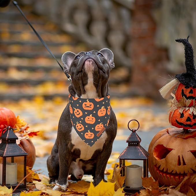 ADOGGYGO Halloween Dog Bandanas 2 Pack, Reversible Pumpkin Ghost Scarf, Premium Fabric, Adjustable Fit Orange Black Halloween Bandanas for Small Dogs (Small)