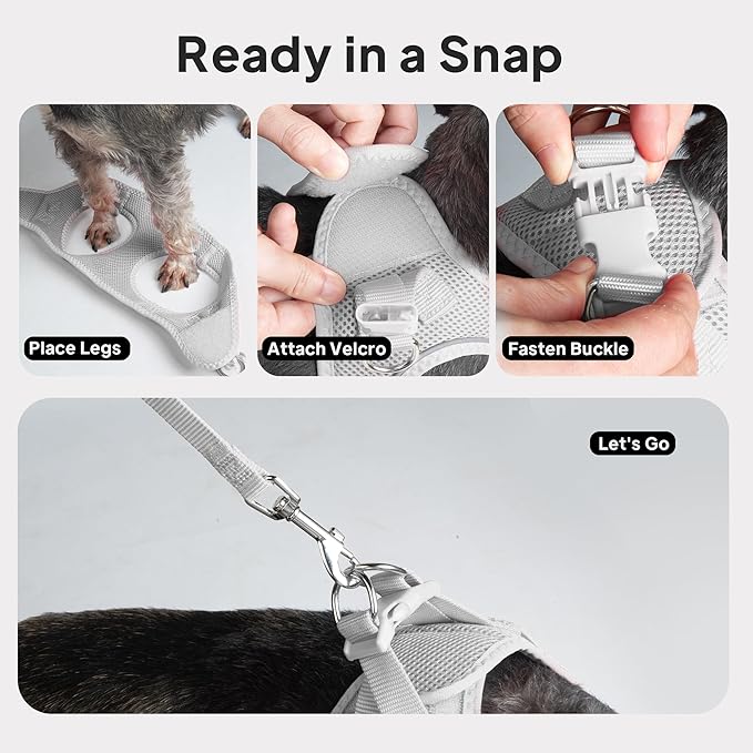 PetiFine Extra Small Step in Dog Harness and Leash Set, Cat Harness and Leash Escape Proof, All Weather Mesh Reflective, Step-in Air Vest Harnesses for Puppy(XXXS, Grey)