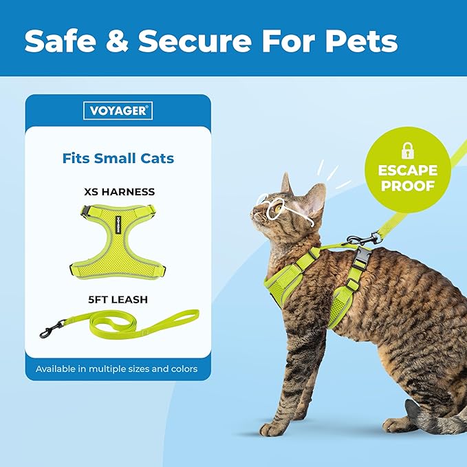 Voyager Escape-Proof Step-in Lock Cat Harness & 5ft Neoprene-Handle Leash Set All-Weather Mesh with Reflective Stitching for Small to Large Cats by Best Pet Supplies, Lime (327), XS
