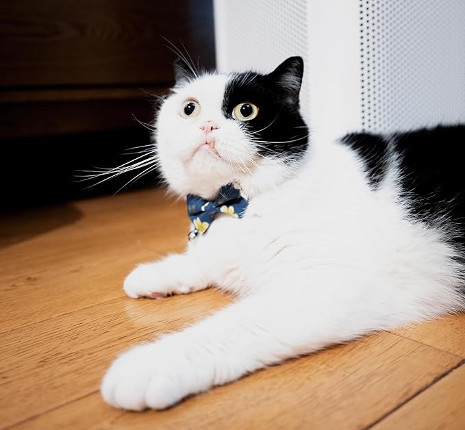 Collar for Cat Pet Breakaway with Bell Bowtie Detachable Bow Adjustable Safety Kitten Puppy Girl Boy 2pcs Flower-Blue & Yellow