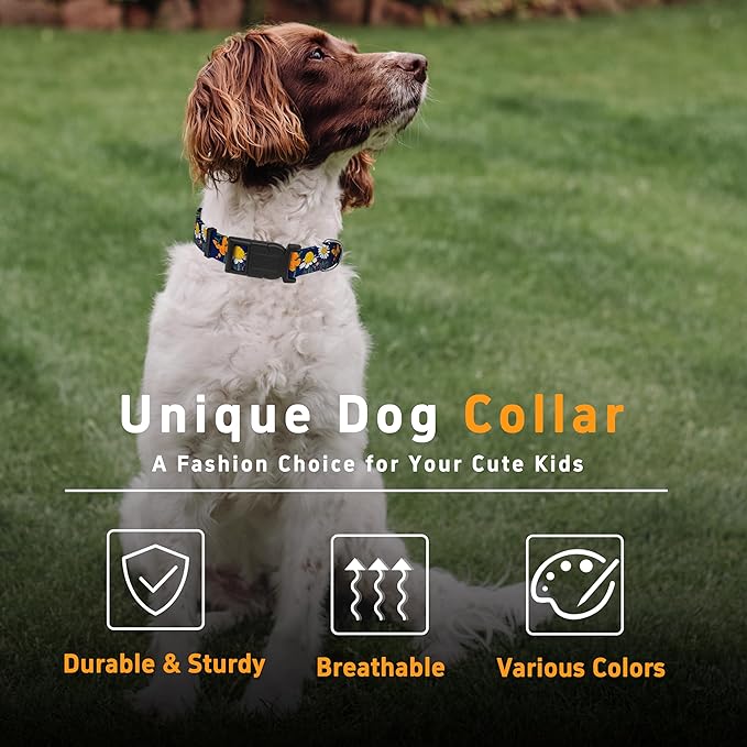 Dog Collar with Butterflies Print, Daisy Boys Girls Puppy Collar for Small Medium Large Dogs, Adjustable Soft Floral Pet Collar with Safety Buckle for Male Females(Blue Butterfly,XS)