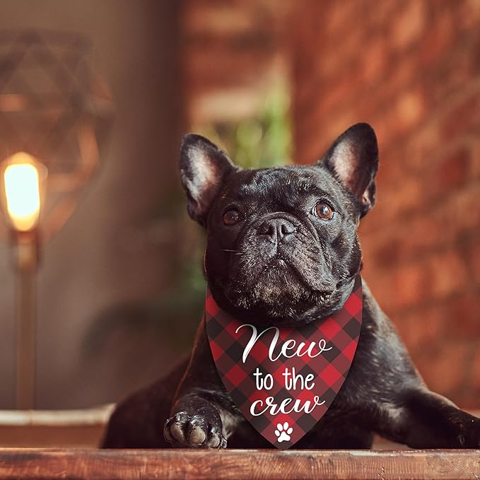 New Puppy Announcement Dog Bandana, Adopted Puppies Reveal Gift for Owner, Dogs Birthday Supplies Gifts, Triangle Bibs Scarf for Medium Pets (Red)