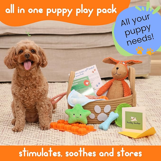 Premium Puppy Starter Kit - New Puppy Gift Basket with Essentials, Toy Box, Treat Tray, Training Supplies, Chew & Squeaky Toys for Puppies and Small Dogs - Complete Dog Must Haves for New Dog Owners