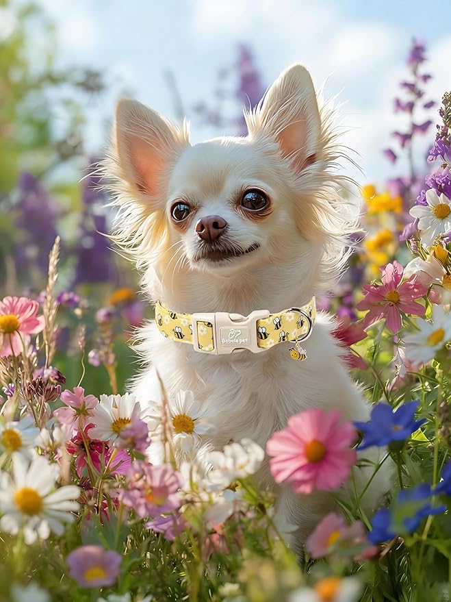 Bee & Daisy Dog Collar for Small Dogs - Spring/Summer Cartoon Yellow Dog Collars, Lightweight Adjustable Male Female Dogs Collars with Quick Release Buckle S