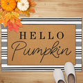 Tinideya 2 Pcs Door Mat Welcome Non Slip Coir Mats Floor Layering Doormats Seasonal for Front Porch Entryway Decor(Hello Pumpkin)