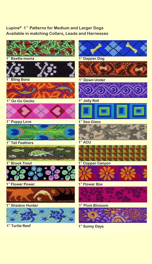 LupinePet Originals 1" Jelly Roll 25-31" Adjustable Collar for Extra Large Dogs