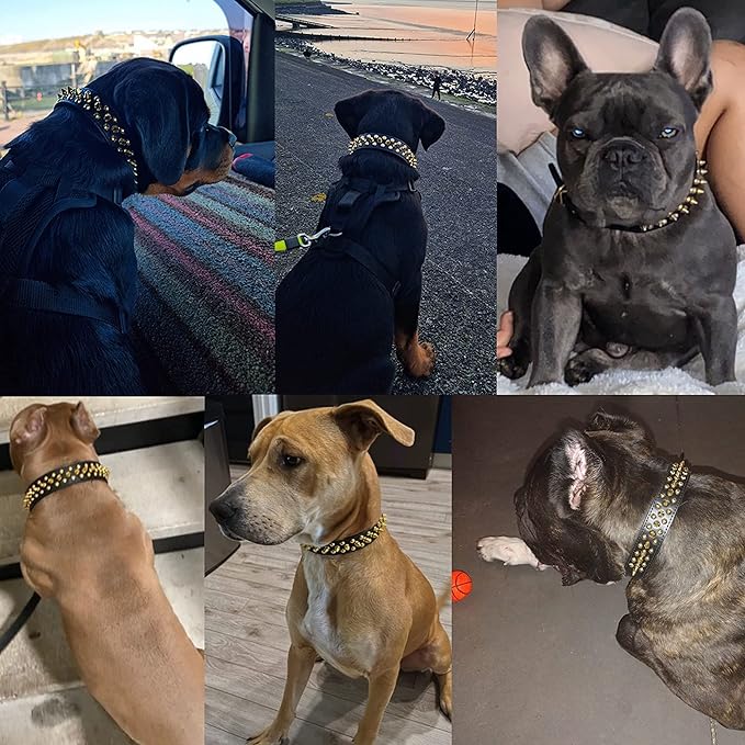 TEEMERRYCA Black Leather Dog Collar with Gold Spikes for Male Small Medium Large Pets, Pit Bulls/Bulldog, Keep Dog Safe from Grabbing by Huge Dogs, M(12"-15")