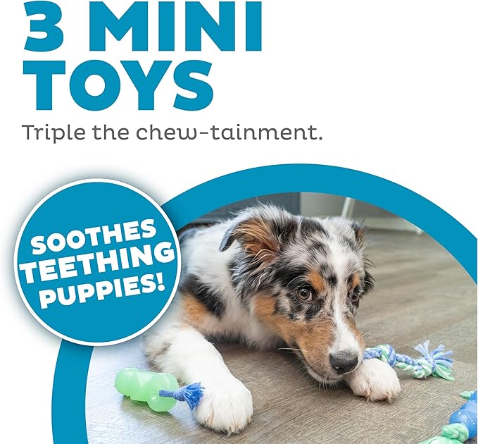 Outward Hound Pupstages Mini Dentachew Pack Dental Chew Toy, Multi-Textured, Fetch & Tug Rope, Puppies & Small Dogs, 7", 3-Pack
