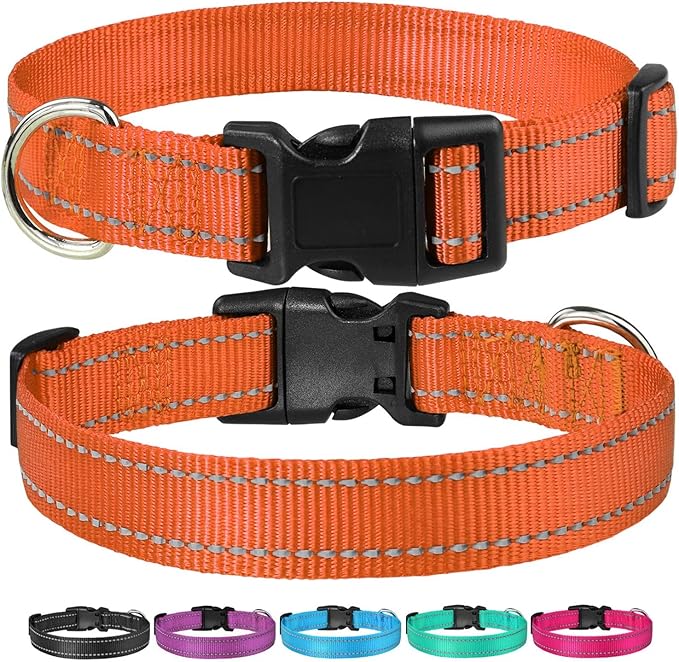 Reflective Dog Collar with Buckle Adjustable Safety Nylon Collars for Small Medium Large Dogs, Orange L