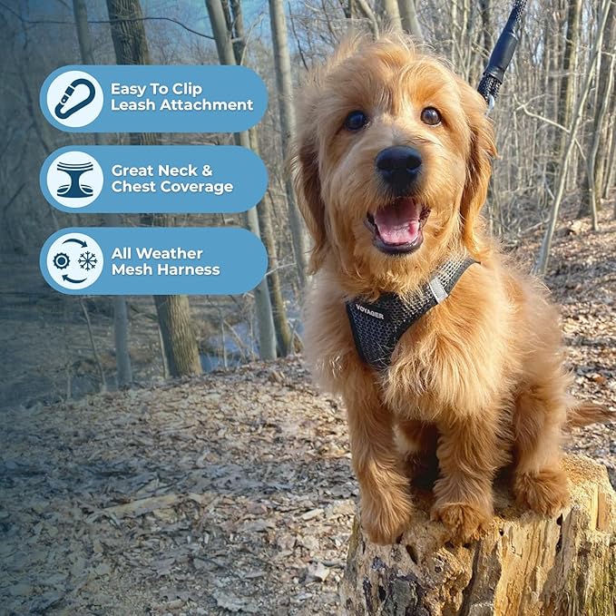 Best Pet Supplies Voyager Step-in Air All Weather Mesh Harness and Reflective Dog 5 ft Leash Combo with Neoprene Handle, for Small, Medium and Large Breed Puppies - Gray (2-Tone), M