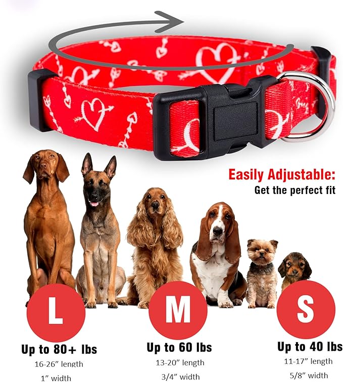 Native Pup Valentine’s Dog Collar- Valentines Day Pet Collars- Valentine Girly Hearts- Pink Red Heart- Cute Boy Girl Puppy Gift- Adjustable for Small, Medium, Large Breeds (Cupid's Arrows, Large)