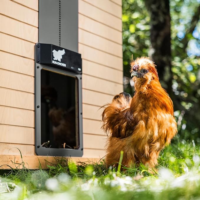 RUN-CHICKEN Door T50 – Automatic Chicken Coop Door Opener, Battery Powered & Weatherproof Aluminum, Smart App & Timer Control, Predator Proof, Easy Install, Reliable All-Season Performance (Gray)