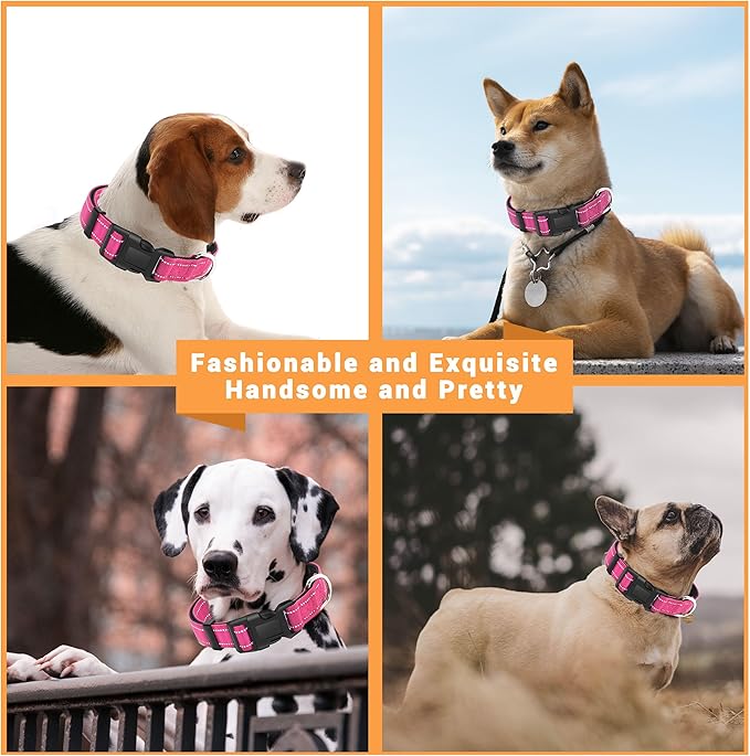 2 Pack Reflective Dog Collar with Safety Locking Buckle, Adjustable Soft Breathable Comfortable Nylon Pet Collar for Small, Medium and Large Dogs, Hotpink, XS