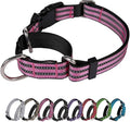 Martingale Dog Collar, Adjustable Nylon Reflective Collar with Buckle No Pull Dog Collar for Small Medium Large Dogs (Pink L)