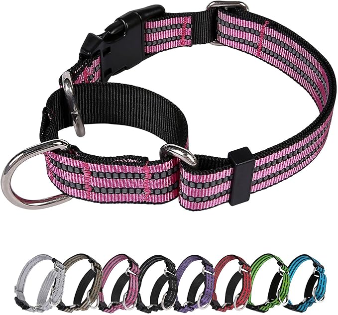Martingale Dog Collar, Adjustable Nylon Reflective Collar with Buckle No Pull Dog Collar for Small Medium Large Dogs (Pink L)
