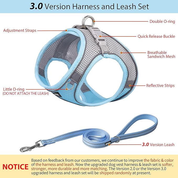 AIITLE Small Harness for Puppy with A Leash - Dog Vest Harness with Super Breathable Mesh, Reflective No-Pull Pet Harness for Outdoor Walking, Running for Small Dogs, Cats Blue XXS
