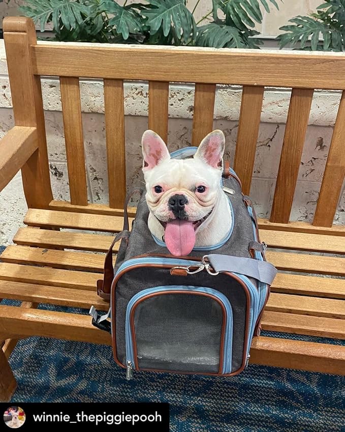 Mr. Peanut's Gold Series Big Apple XL Expandable Pet Carrier V3.0 (Deja Blue)