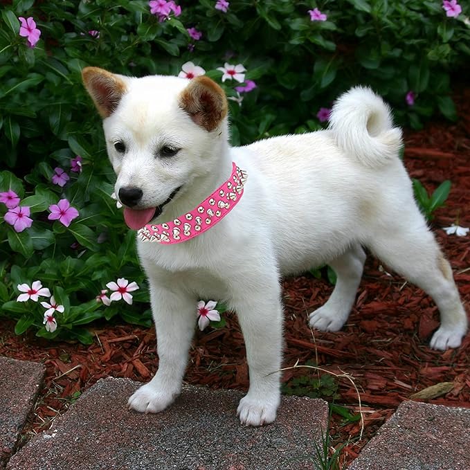TEEMERRYCA Adjustable PU Leather Spiked Studded Dog Collars with a Squeak Ball Gift for Small Medium Large Pets Like Cats/Pit Bull/Bulldog/Pugs/Husky, Hot Pink, XXL 19.7"-22.4"